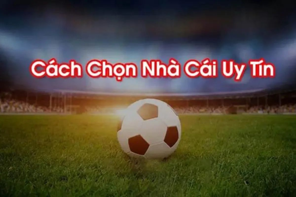 những tiêu chí lựa chọn nhà cái cá cược uy tín